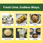 #size_Pack of 1, #size_Pack of 2, #size_Pack of 3